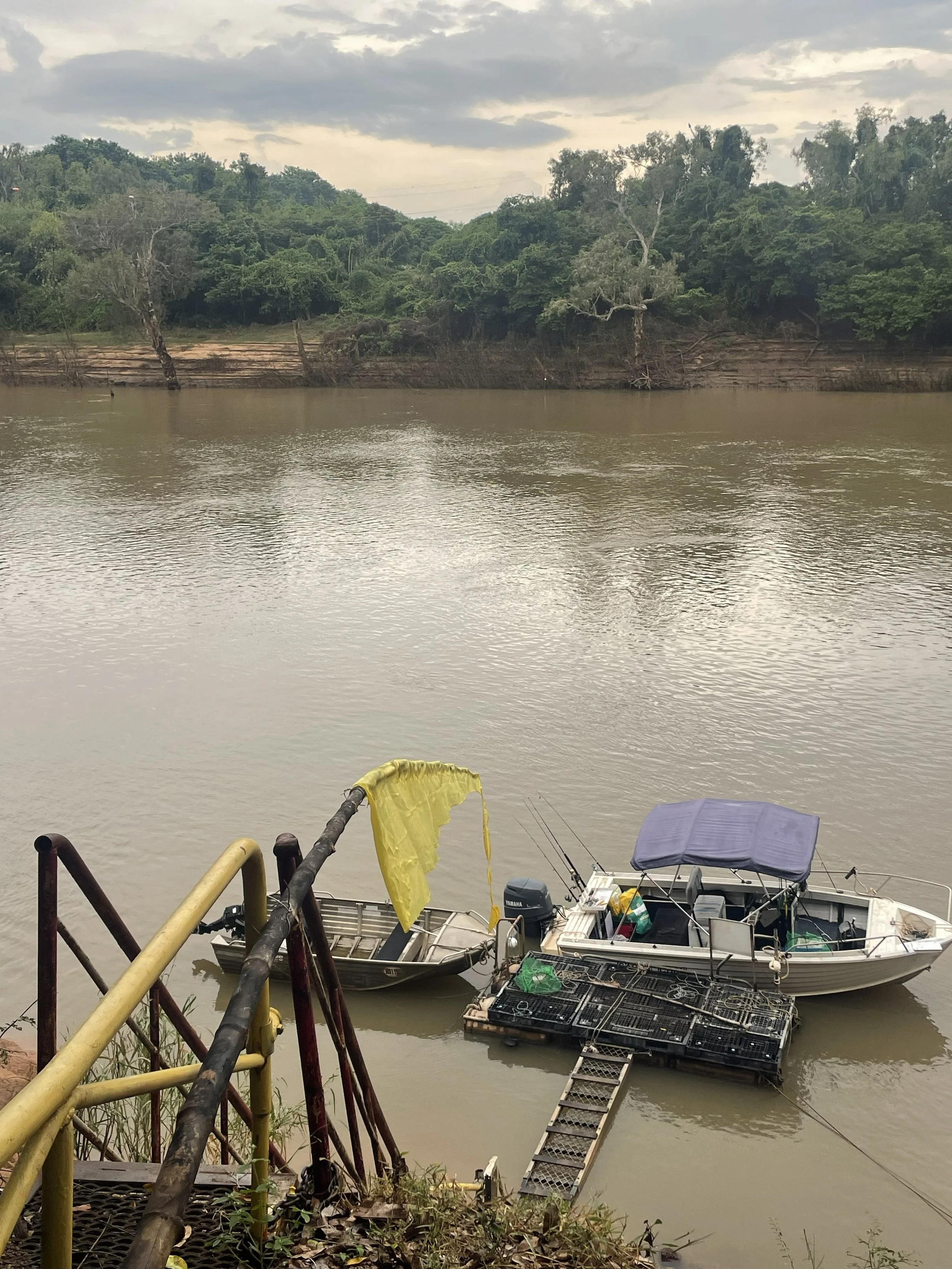 Boats docked at a riverbank with yellow and purple tarps, with trees and cloudy sky in the background.