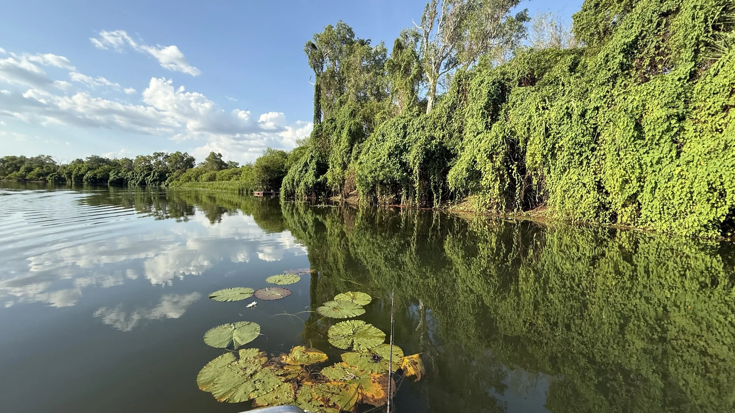 Calm river reflecting blue sky with scattered clouds and green foliage along the riverbank with water lilies on the surface.