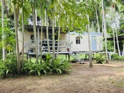 A small house surrounded by tall trees and lush green plants.