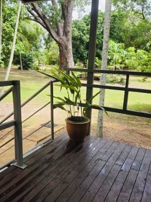 Potted plant on a wooden deck with a railing, overlooking a yard with trees and grass.