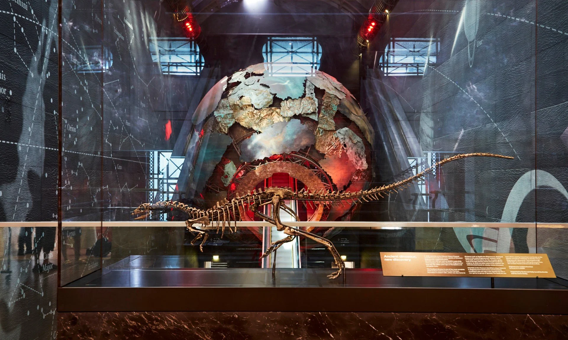 A dinosaur skeleton displayed in a museum exhibit with a large globe background and informational plaques.
