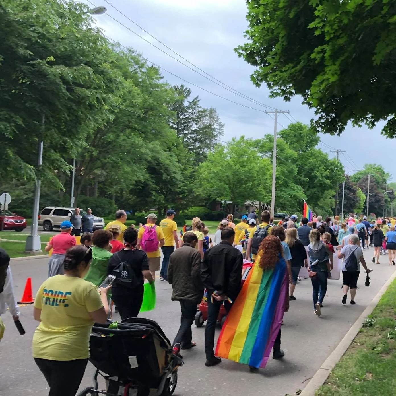 A large group of people participating in a pride parade or rally, walking along a tree-lined street and carrying rainbow flags.
