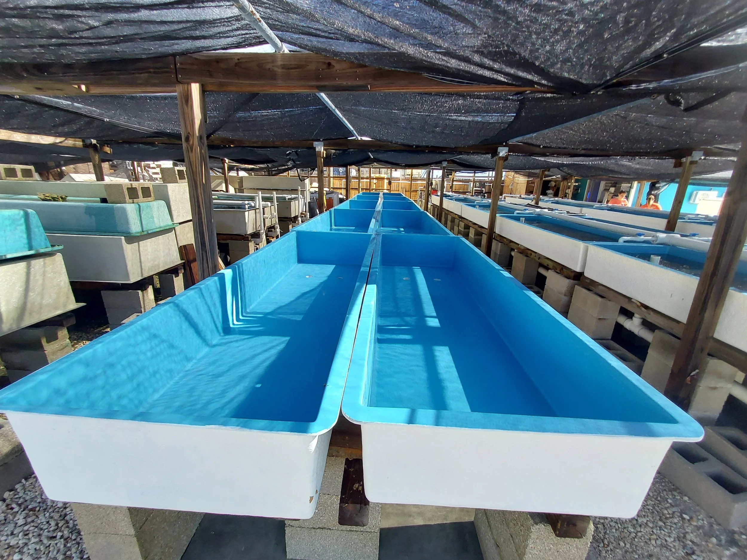 Rectangular Tanks