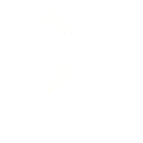 Colibri Connections