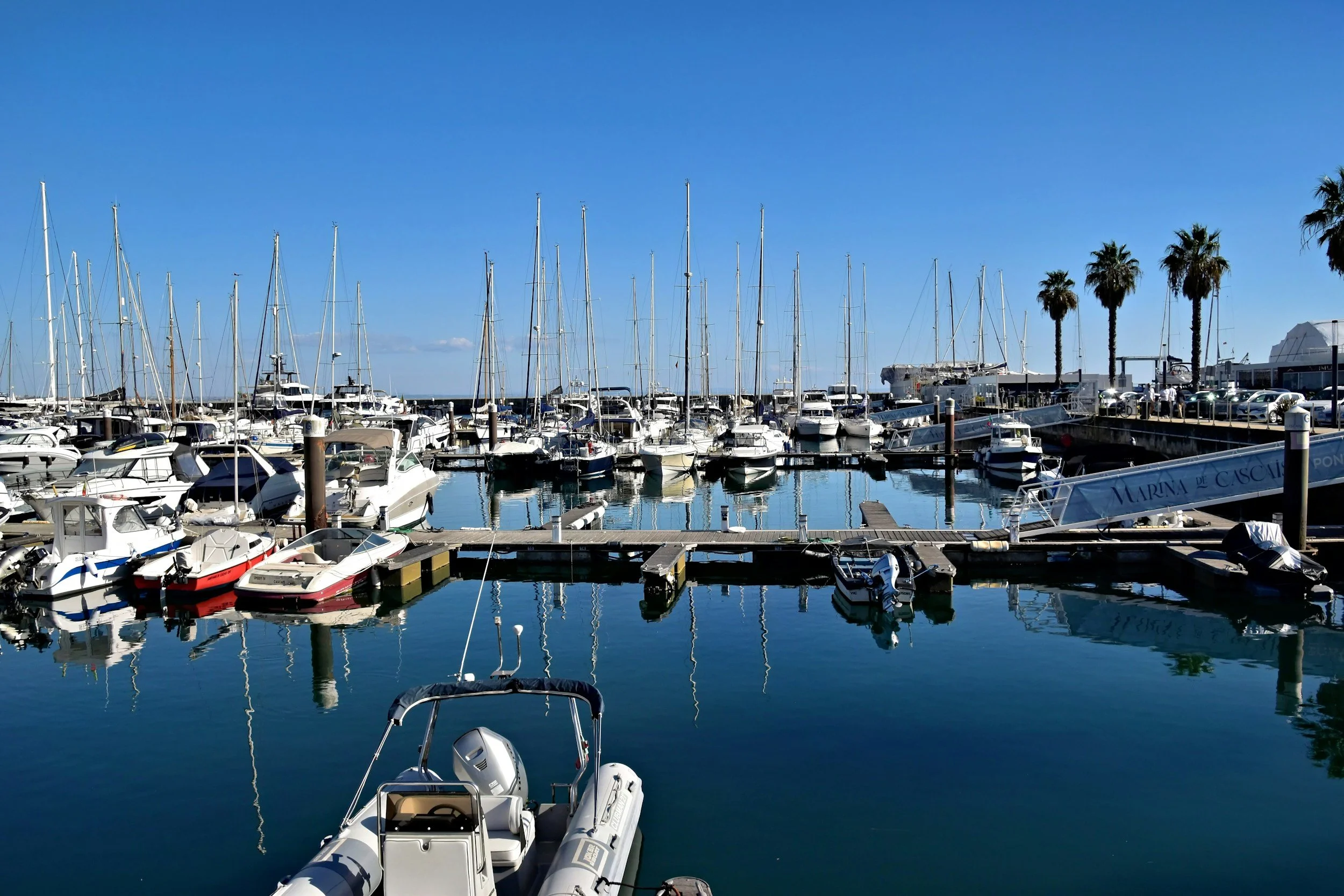 Coastal marina filled with numerous docked boats and yachts, with palm trees and clear blue sky in the background.