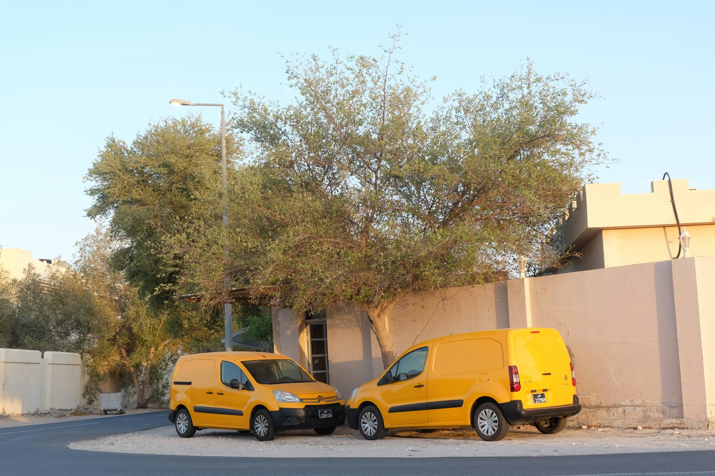 Two yellow commercial vans parked on the side of the road near a white wall with a large leafy tree and a streetlight in the background.