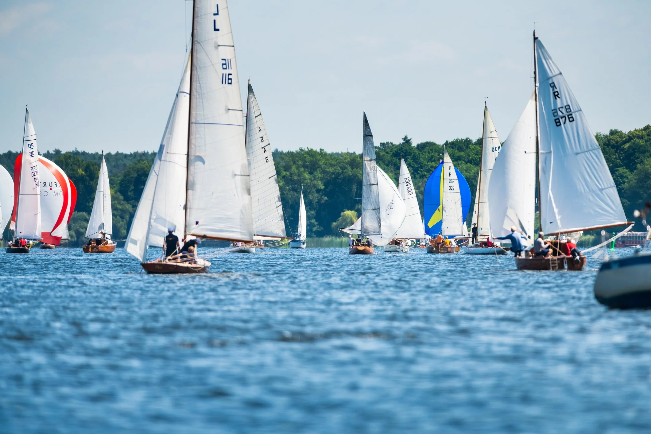 Viele Segelboote auf einem See bei gutem Wetter, mit grünen Bäumen im Hintergrund.