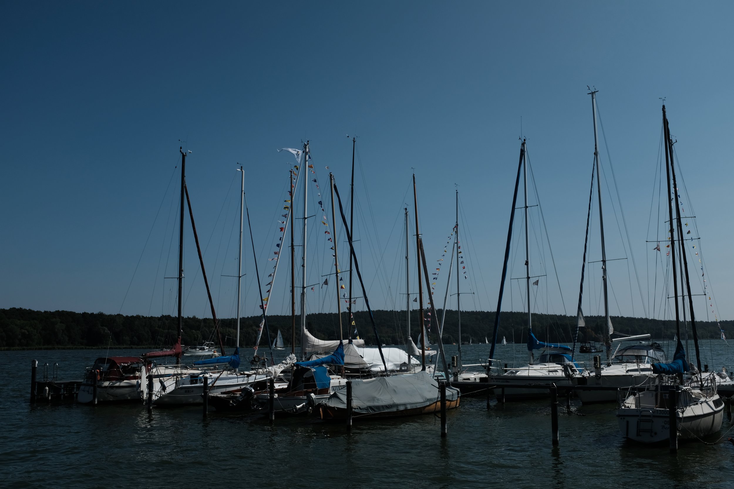 DSCF7295.JPG