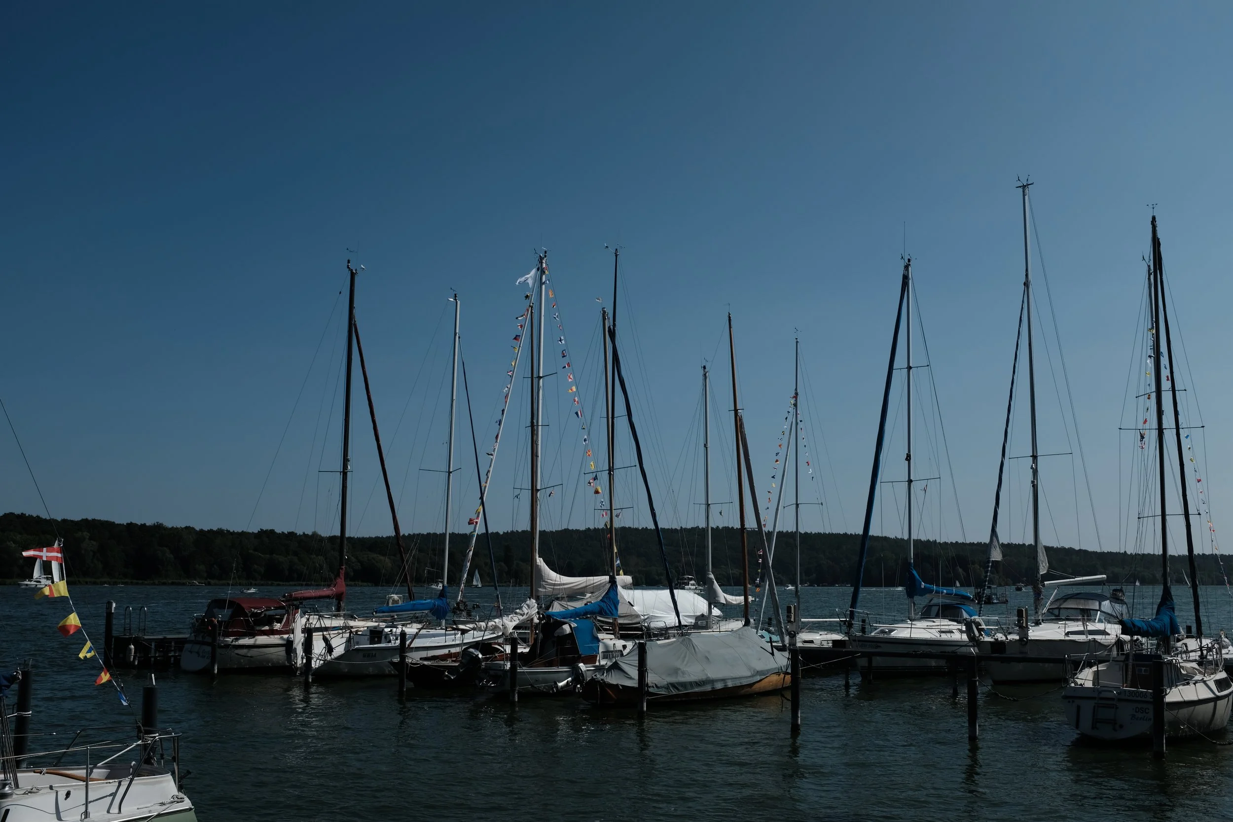 DSCF7298.JPG
