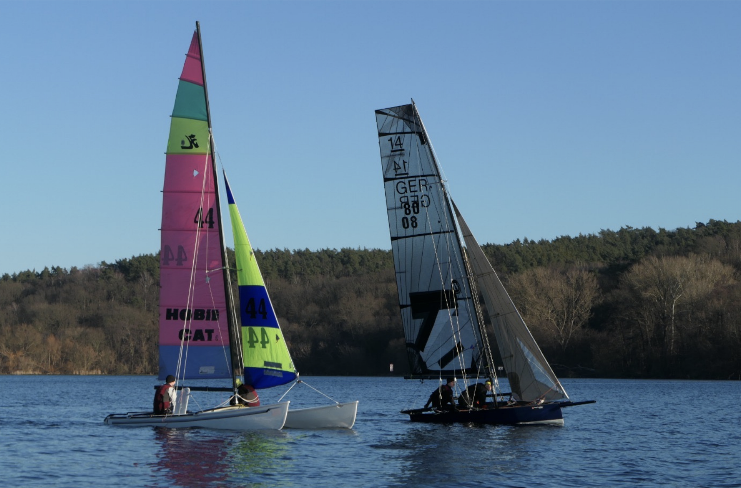 Segelboote mit bunten Segeln auf dem Wasser, in der Nähe eines Ufers mit Bäumen, bei schönem Wetter.