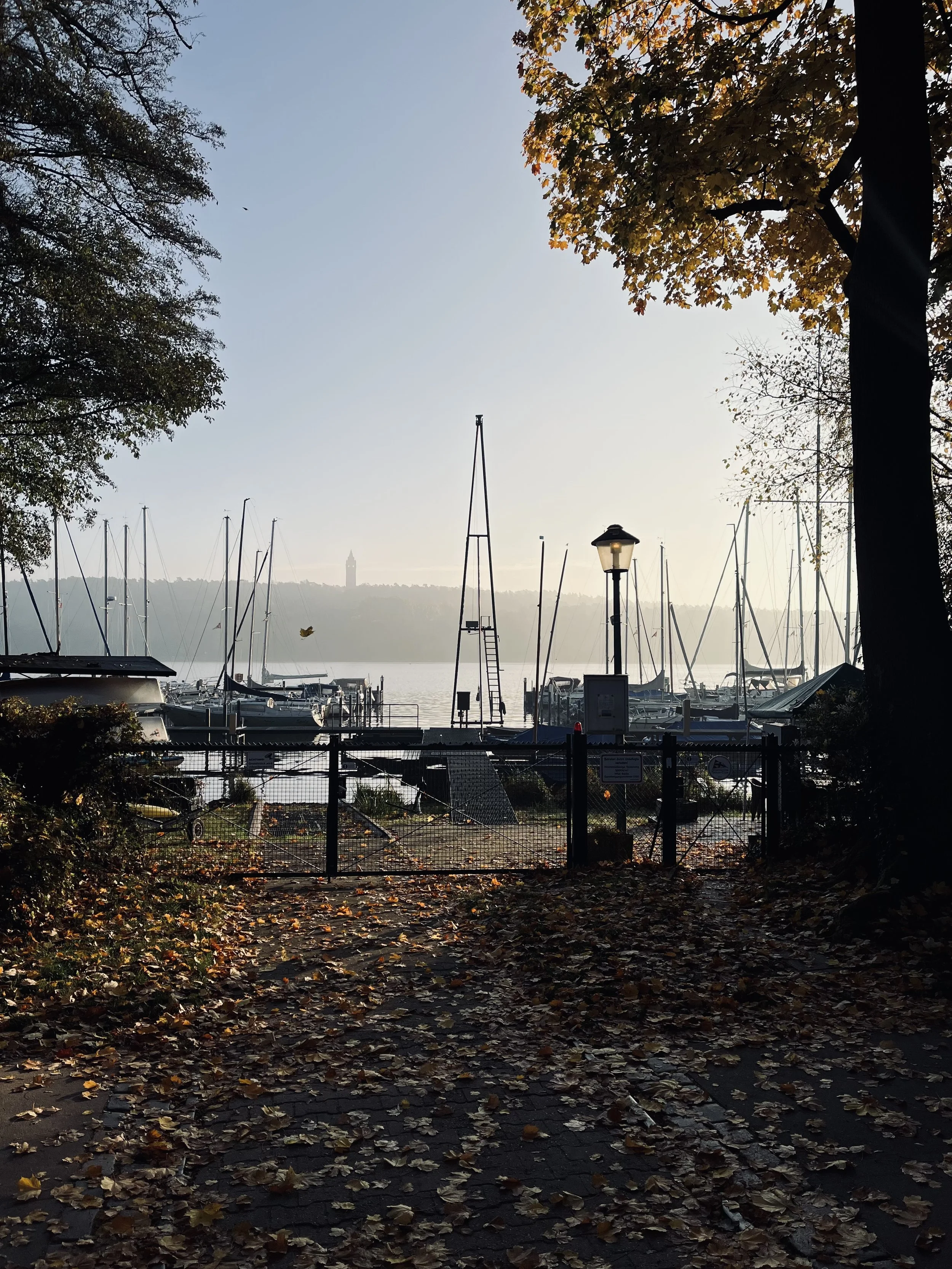 Ein Yachthafen bei Sonnenaufgang oder Sonnenuntergang, umgeben von Bäumen mit herbstlichen Blättern, die auf dem Boden liegen.