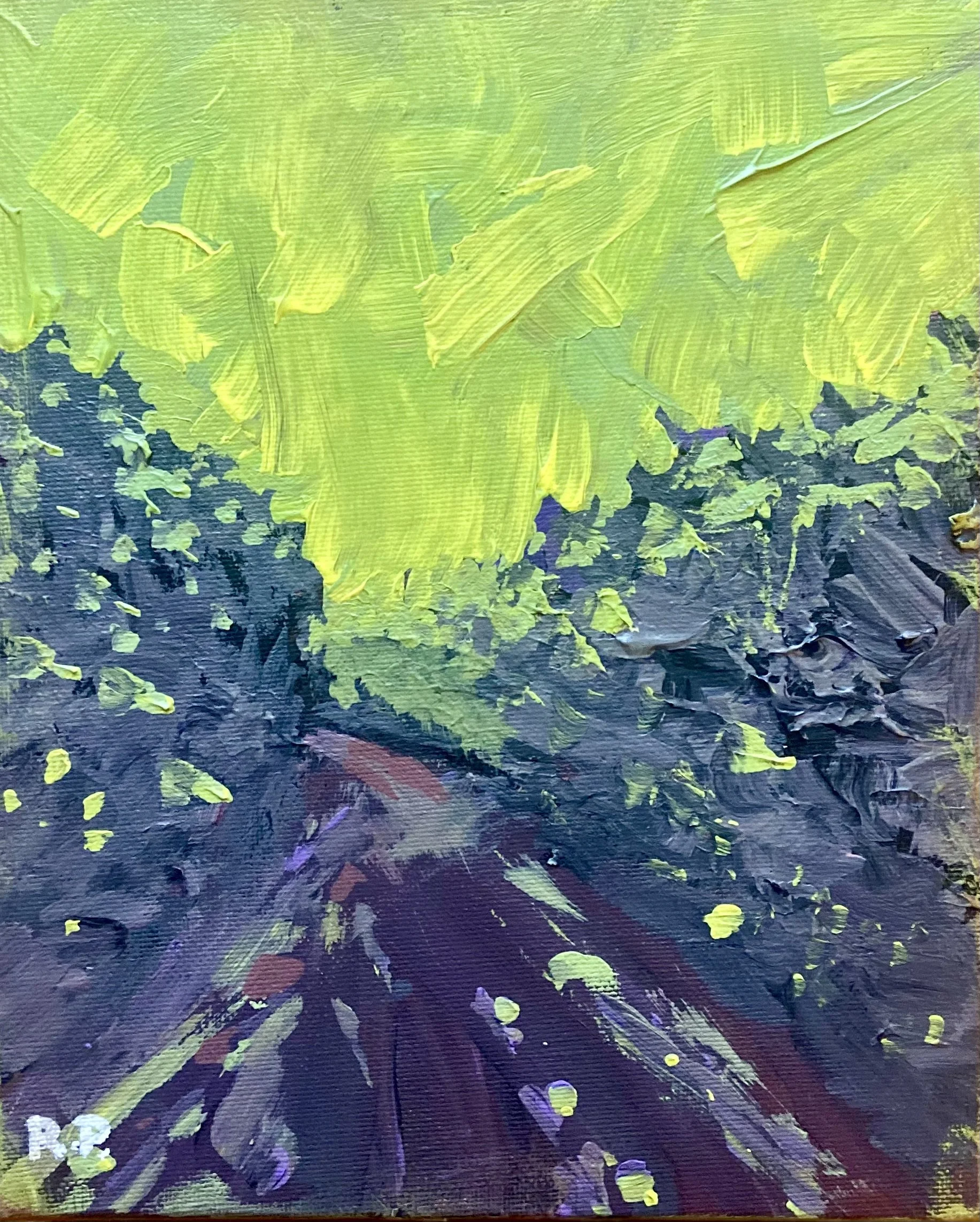 Aurora Borealis- the Northern Lights