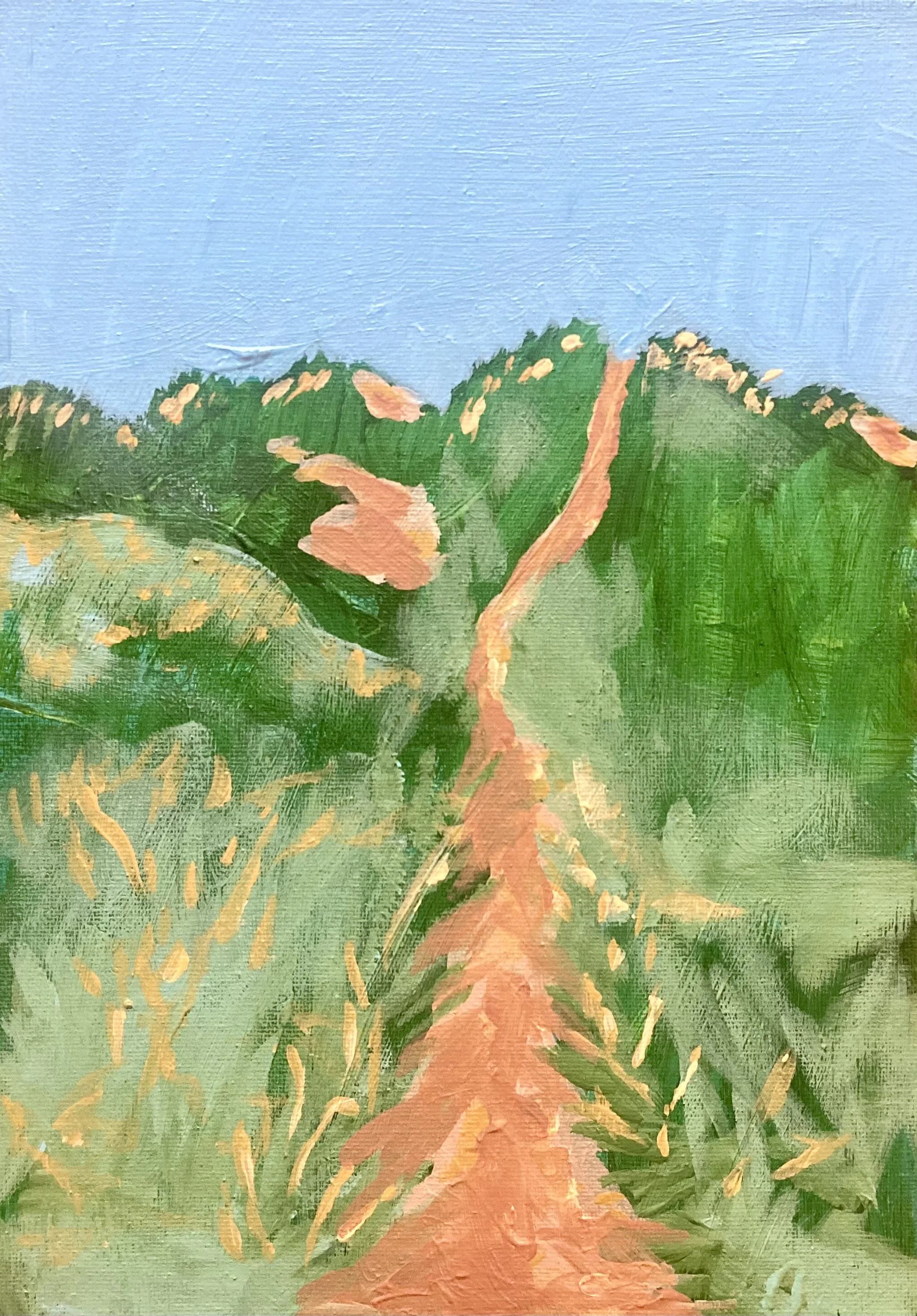 Hot Sand- Pathway Through the Dunes