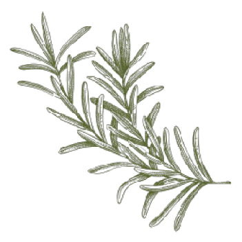 Fresh rosemary herb used in Meat and Greet charcuterie boards