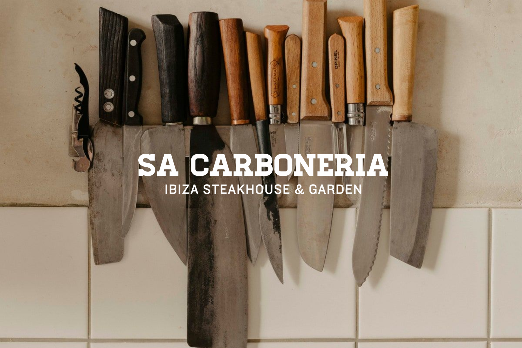 Sin título (1800 x 1200 px) (1).png