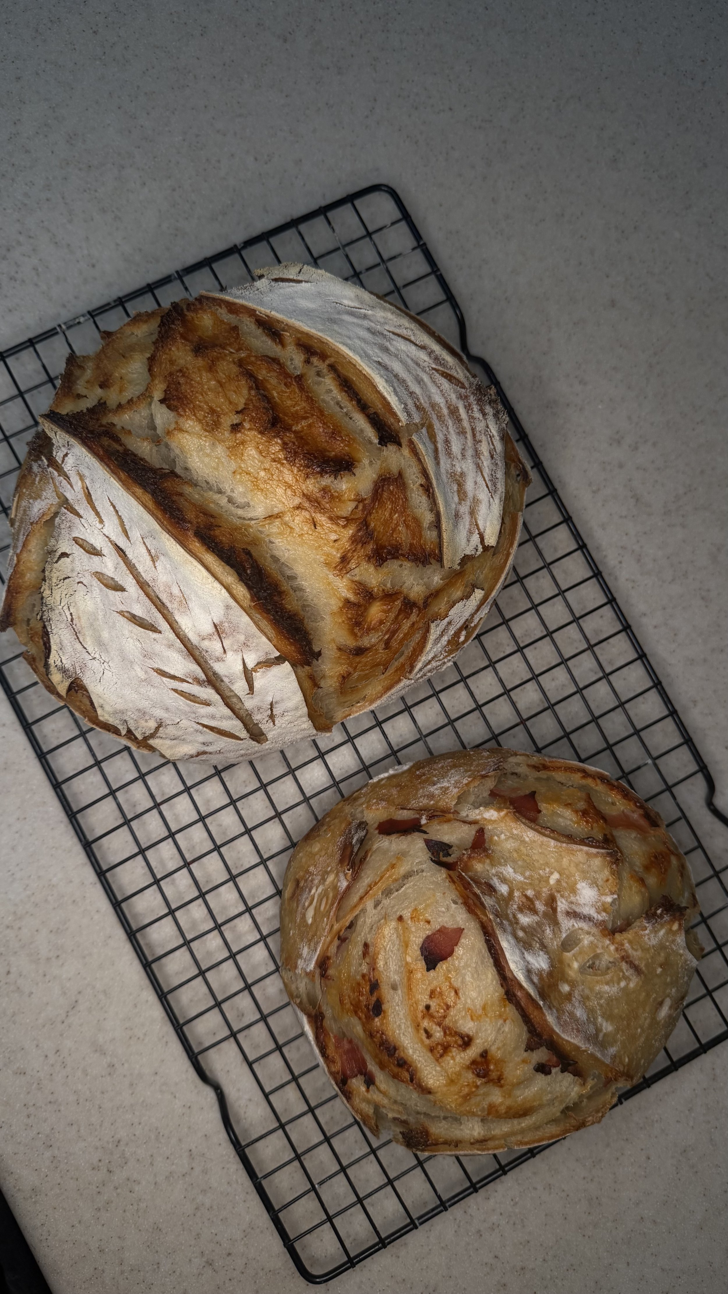 sourdough.jpeg