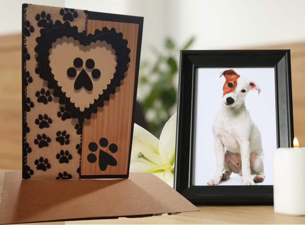 Memorial, Pet-1.png