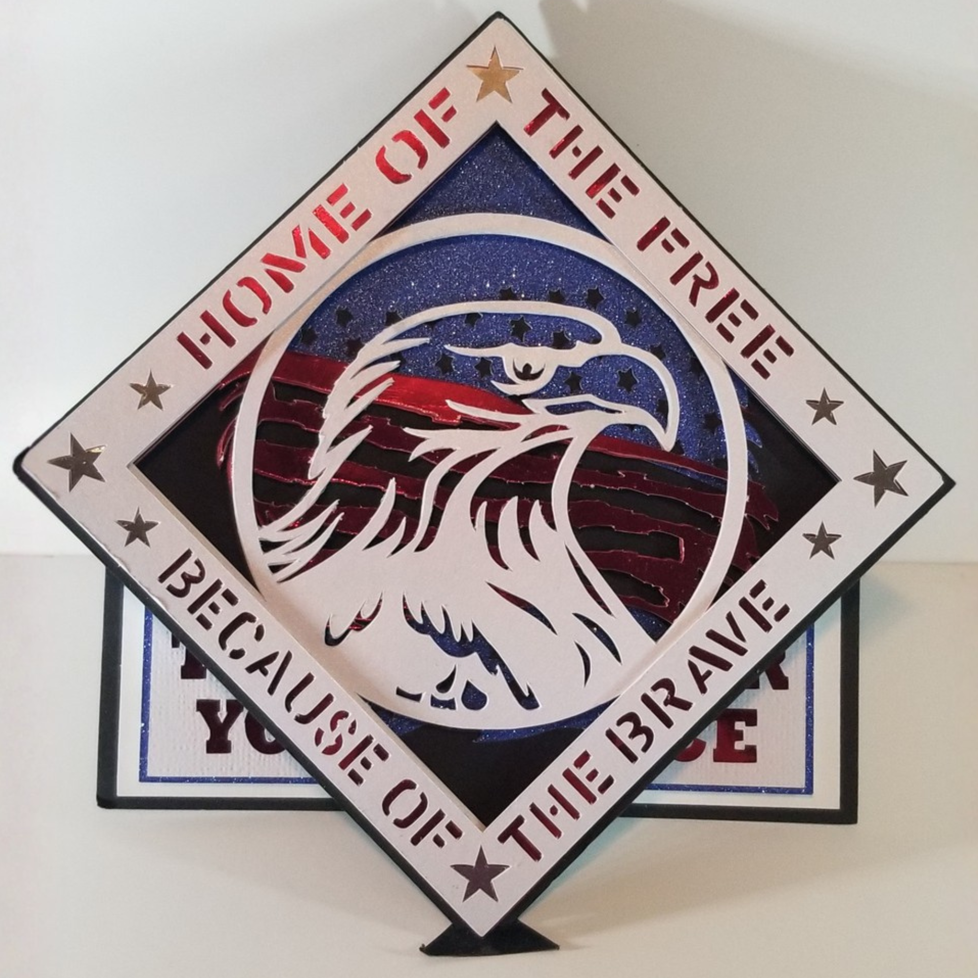 VD Card, close-up.png