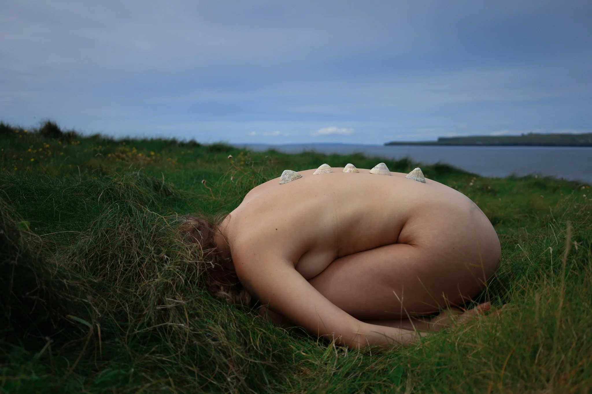 A Hedge, A Vessel, A Wormhole