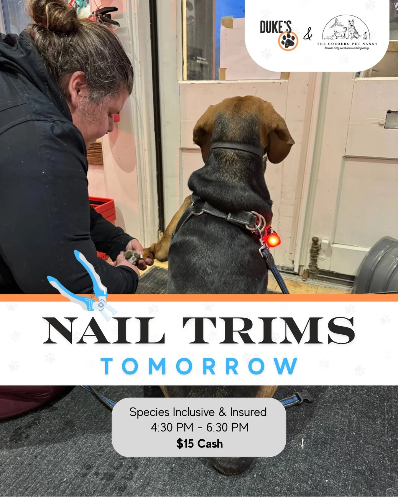 Tomorrow = Toes-day 🐾✨

Nail trims in-store with @cobourgpetnanny

4:30&ndash;6:30pm &bull; $15 cash &bull; walk-ins

Pro tip: it&rsquo;s usually quieter closer to the end if your pet likes a calmer setting ✂️