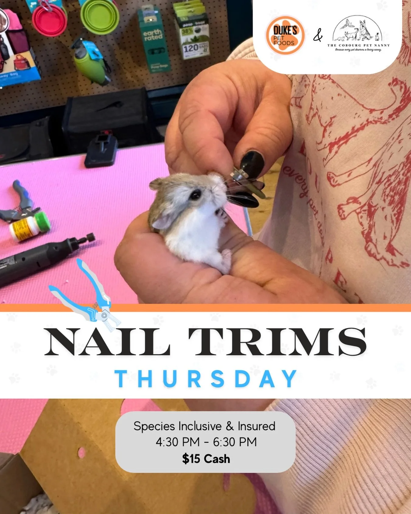 🚨 Toes-day bumped to Thursday this week! 🐾✨

Our nail trim night with @cobourgpetnanny is moving to Thursday just for this week. We&rsquo;re back to our regular day next time!

So we&rsquo;ll see you:
🐾 Thursday, April 23rd
⏰ 4:30&ndash;6:30pm
💲 