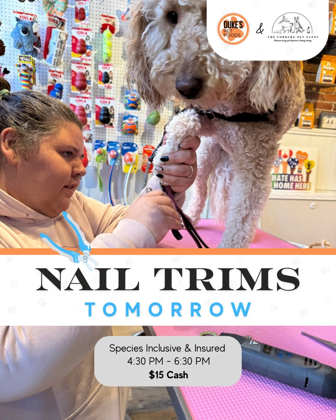 A little paw maintenance goes a long way 🐾💛

Nail trim night is happening tomorrow with @cobourgpetnanny !

⏰ 4:30&ndash;6:30pm
💲 $15 cash
✨ Walk-ins only
🐶🐱 All species welcome

Pro tip: it&rsquo;s usually quieter closer to the end of the eveni