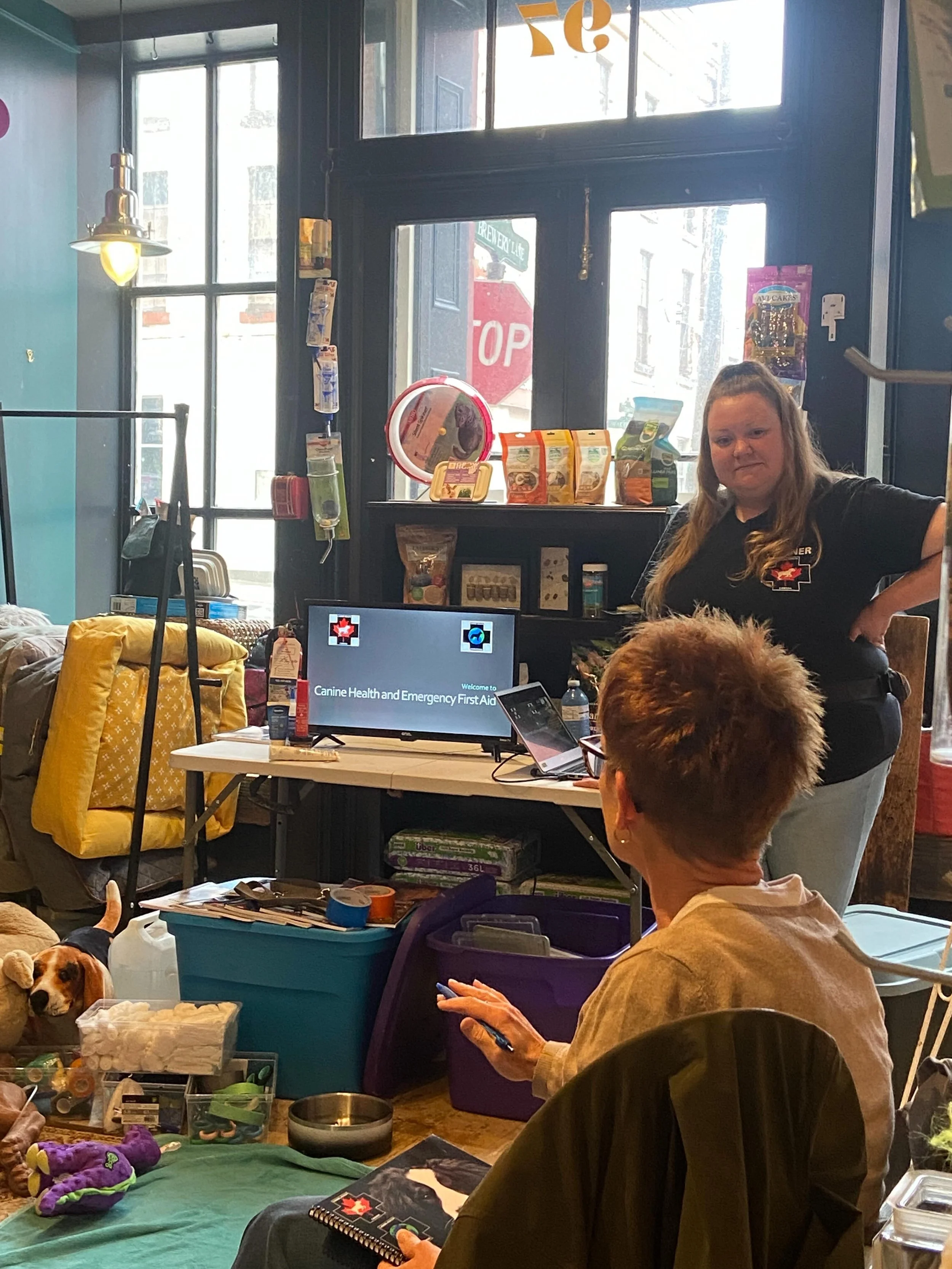 It&rsquo;s First Aid training day @dukesporthope with @hoofhearthealthfirstaid ⛑️🩹🐾

We&rsquo;ve got a full house of pet pawrents and pet professionals joining us for our second course offering and they&rsquo;re all crushing it!! 
Miss Luna rounds 