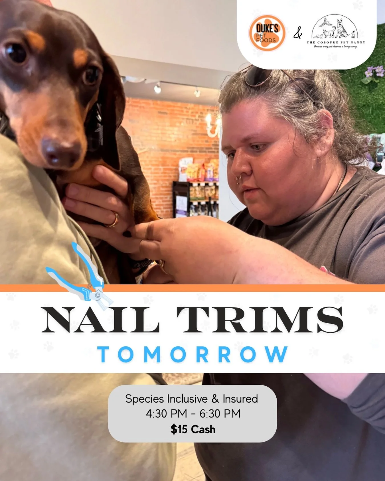 🌞🐾 Starting June off on the right foot&hellip;and paw! 🐾🌞

Our first nail trim night of the month is happening tomorrow, June 2nd, with @cobourgpetnanny !

Whether your pet is due for a trim or you&rsquo;re just realizing those nails have become 
