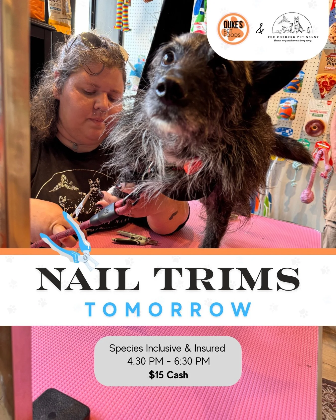 🐾 The paws have spoken&hellip;it&rsquo;s nail trim time again! ✂️✨

Join us tomorrow, June 16th, for an evening of fresh paws and fewer click-clacks on the floor with @cobourgpetnanny .

📍 In-store
⏰ 4:30&ndash;6:30pm
💲 $15 cash
✨ No appointment n