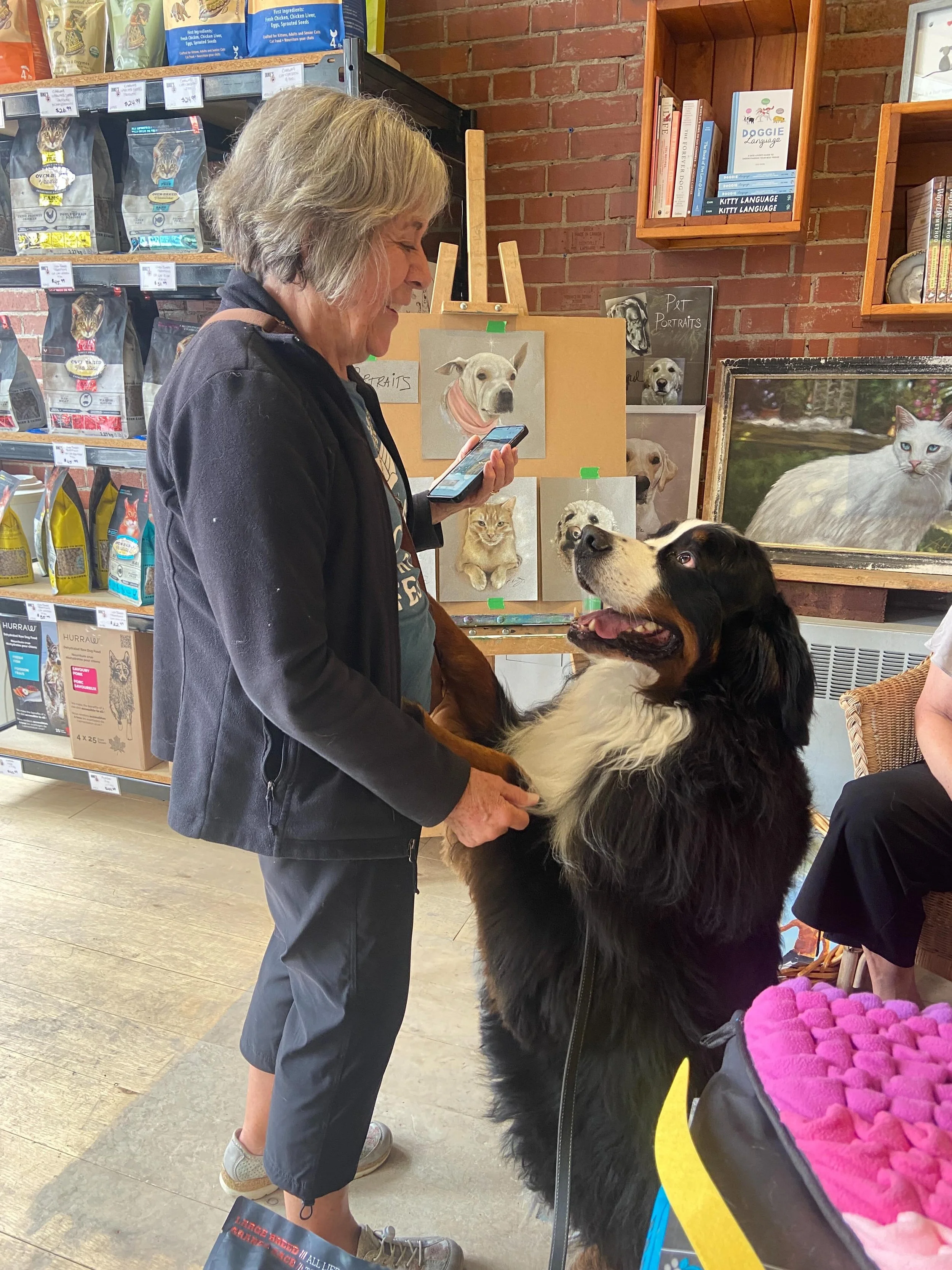 Our pal Kobe stopped by today! His momma is making great, healthy choices for this big boy including good choices for treats. Kobe has been a bit &ldquo;off&rdquo; of his usual faves so we introduced him to some @naturesowndog beef arthrostrips. Thes