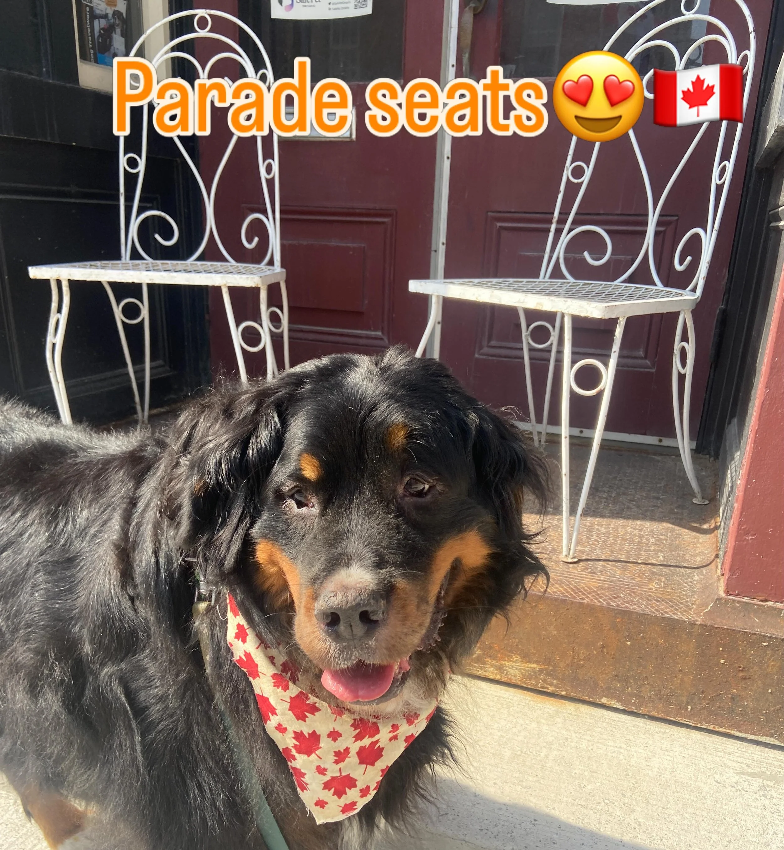 Zeke wants to let you know @dukesporthope is open today from 10 til 3 AND we&rsquo;ve got two of the best seats set up for watching the parade! Hurray and grab your primo spot for today&rsquo;s Canada Day parade in beautiful downtown Port Hope.
*cool