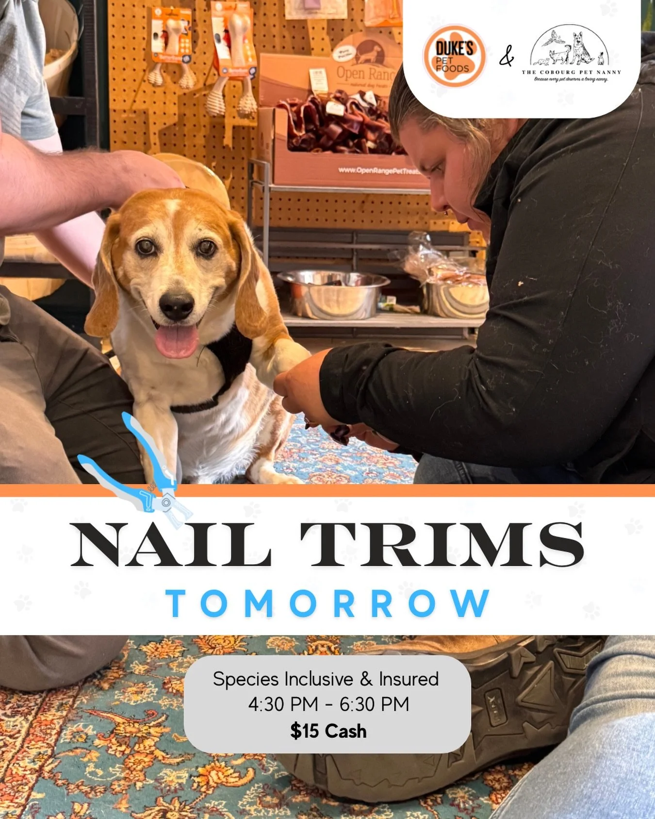 ✨ Fresh paws just feel better. 🐾

Join us tomorrow, July 7th, for another nail trim night with @cobourgpetnanny !

A quick trim can help keep your pet comfortable, improve traction, and save your floors from those dramatic tap-dancing nails. 😉

🐾 