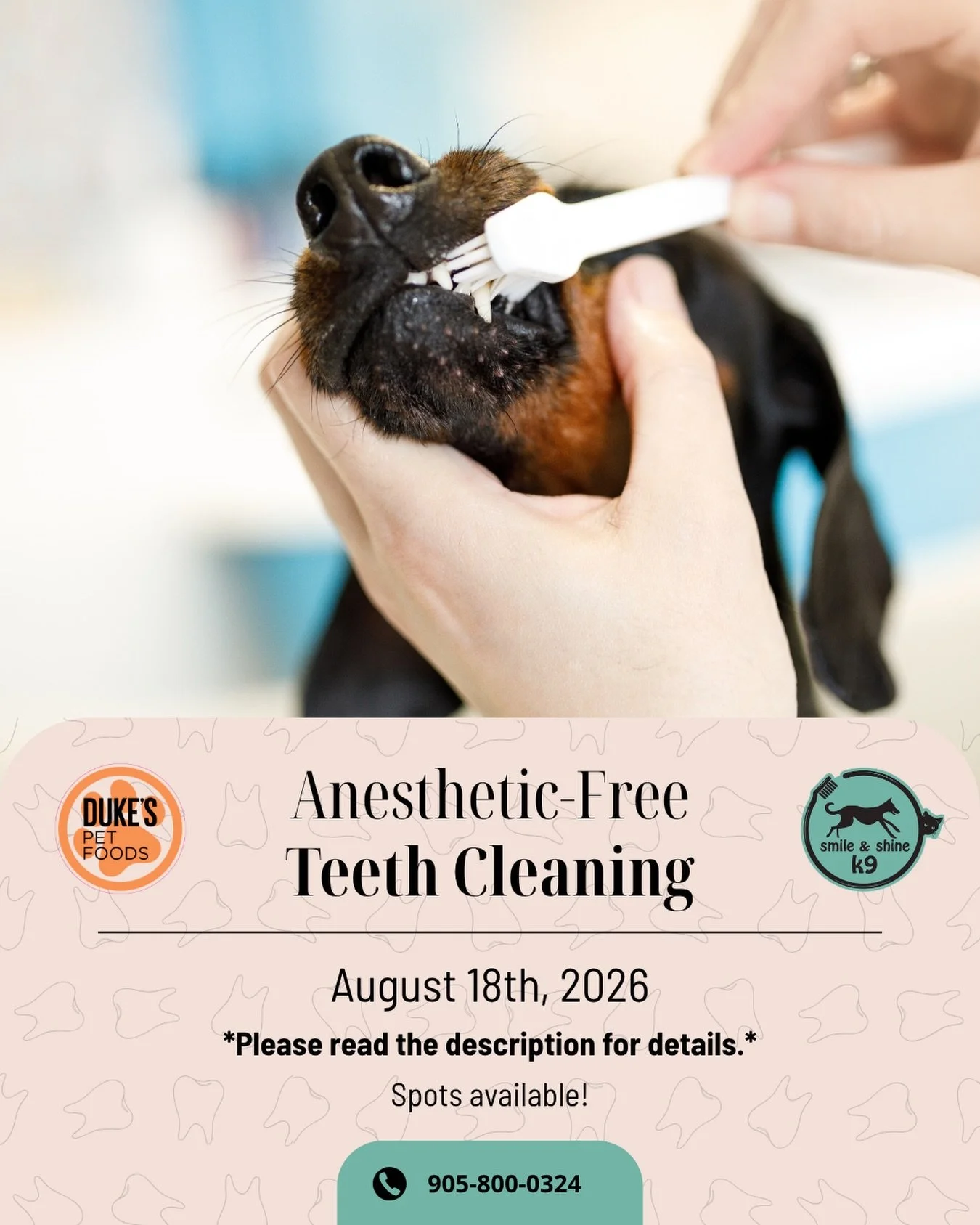 🦷🐾 It&rsquo;s time to talk teeth!

Our next @smileandshinek9 dental cleaning day is happening Tuesday, August 18th, and we still have spots available!

If your pet could use a little extra love for those pearly whites, this is a great opportunity t