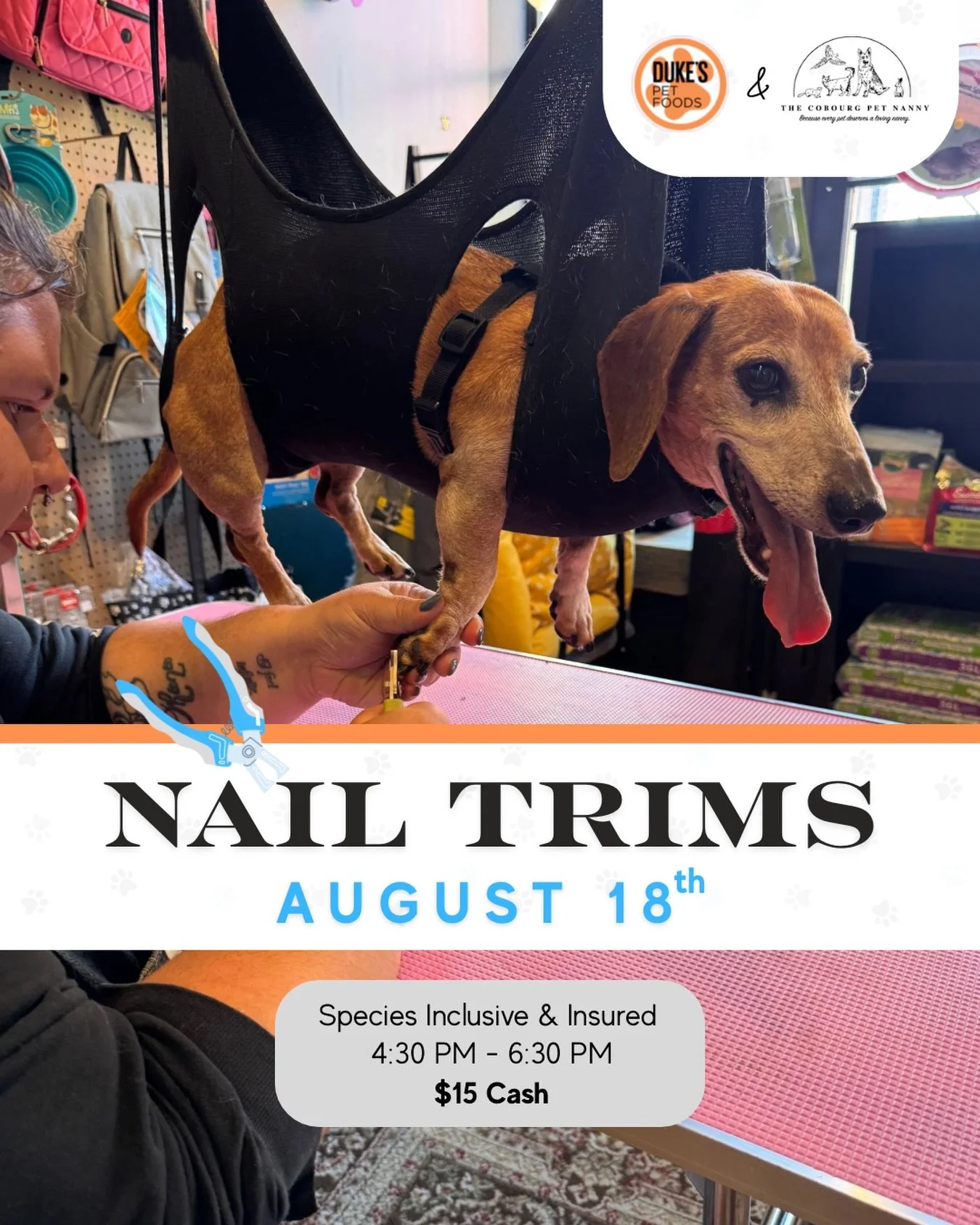 🐾 Tomorrow is Toes-day! ✂️🐾

We&rsquo;re back at it tomorrow with @cobourgpetnanny for another Nail Trim Night! Come on by and get those paws freshened up.

📅 Tuesday, August 18
🕟 4:30&ndash;6:30 PM
💵 $15 cash
⏰ First come, first served
🐶🐱🐰🦜
