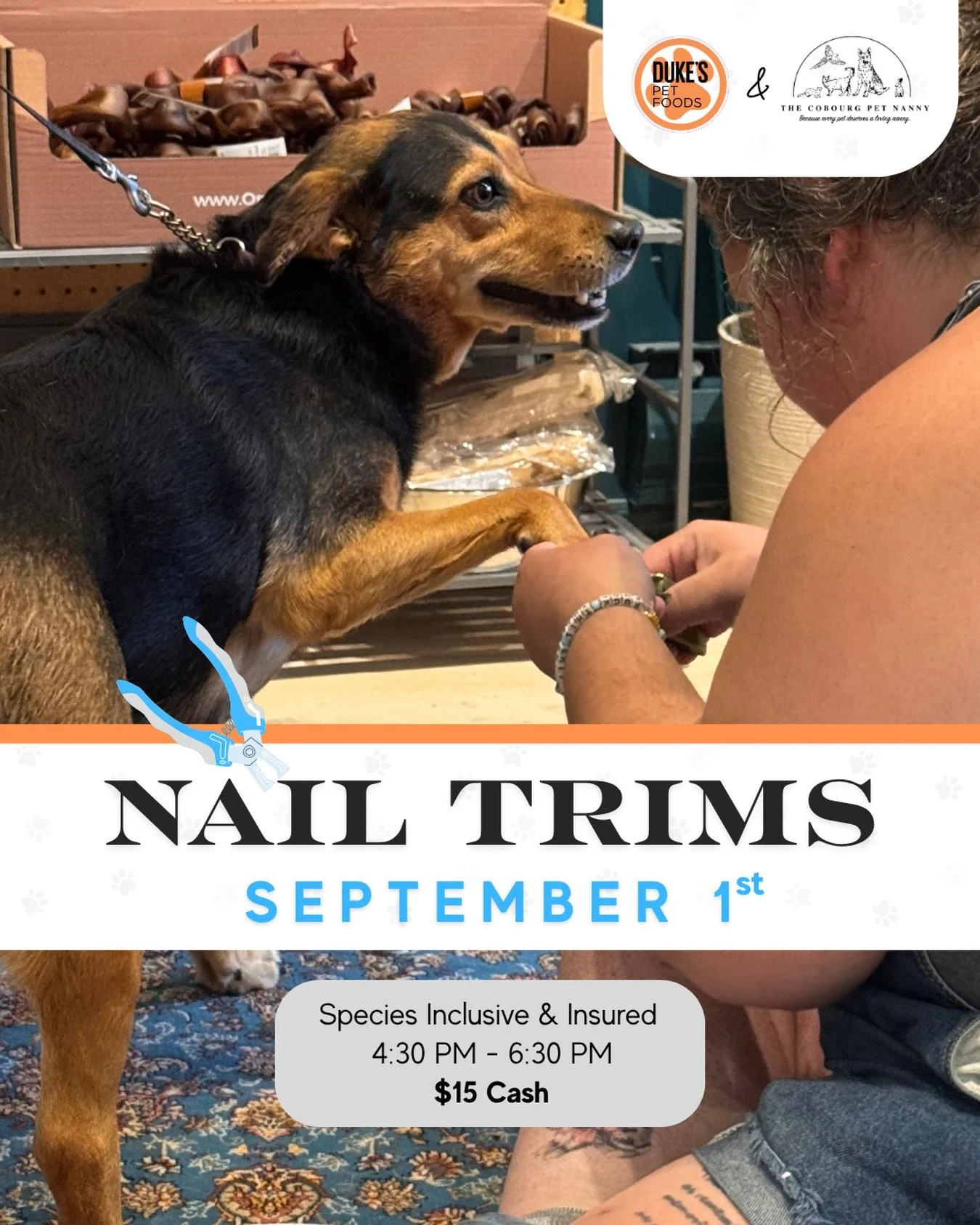 September has arrived, and so has our first nail trim of the month.

Before we get fully swept into back-to-school routines, changing leaves, and pumpkin-flavoured everything, let&rsquo;s take care of those paws! 🐾

Join us tomorrow, Tuesday, Septem