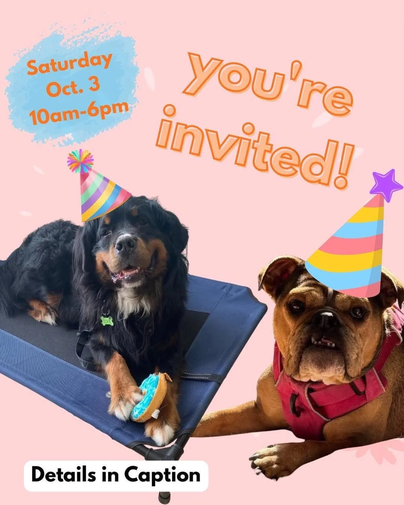 🐾 Where has the last year gone?!

One minute, we were opening our doors on Walton Street&hellip; and the next thing we knew, we had made so many wonderful friends along the way. 🥹🧡

We&rsquo;ve met new faces, welcomed new furry customers, laughed 