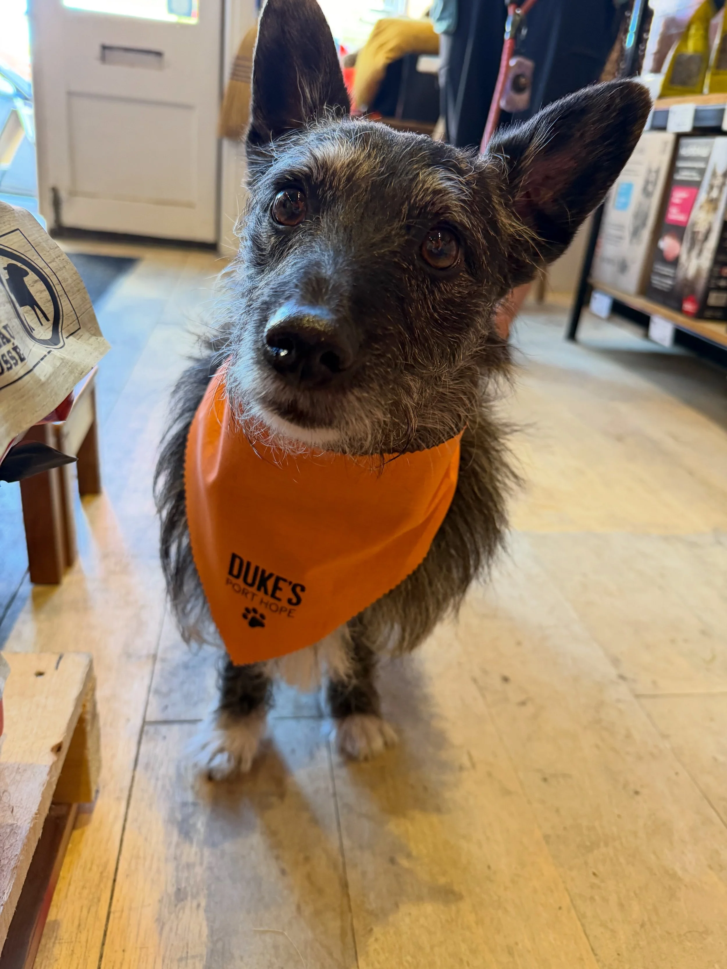 🐾 ONE YEAR ON WALTON STREET. 🧡

Oh, what a day. 🥹✨

It was so lovely to see old friends and new friends come through our doors today, two legged and four legged alike. From familiar faces we&rsquo;ve come to know and love to new friends meeting us