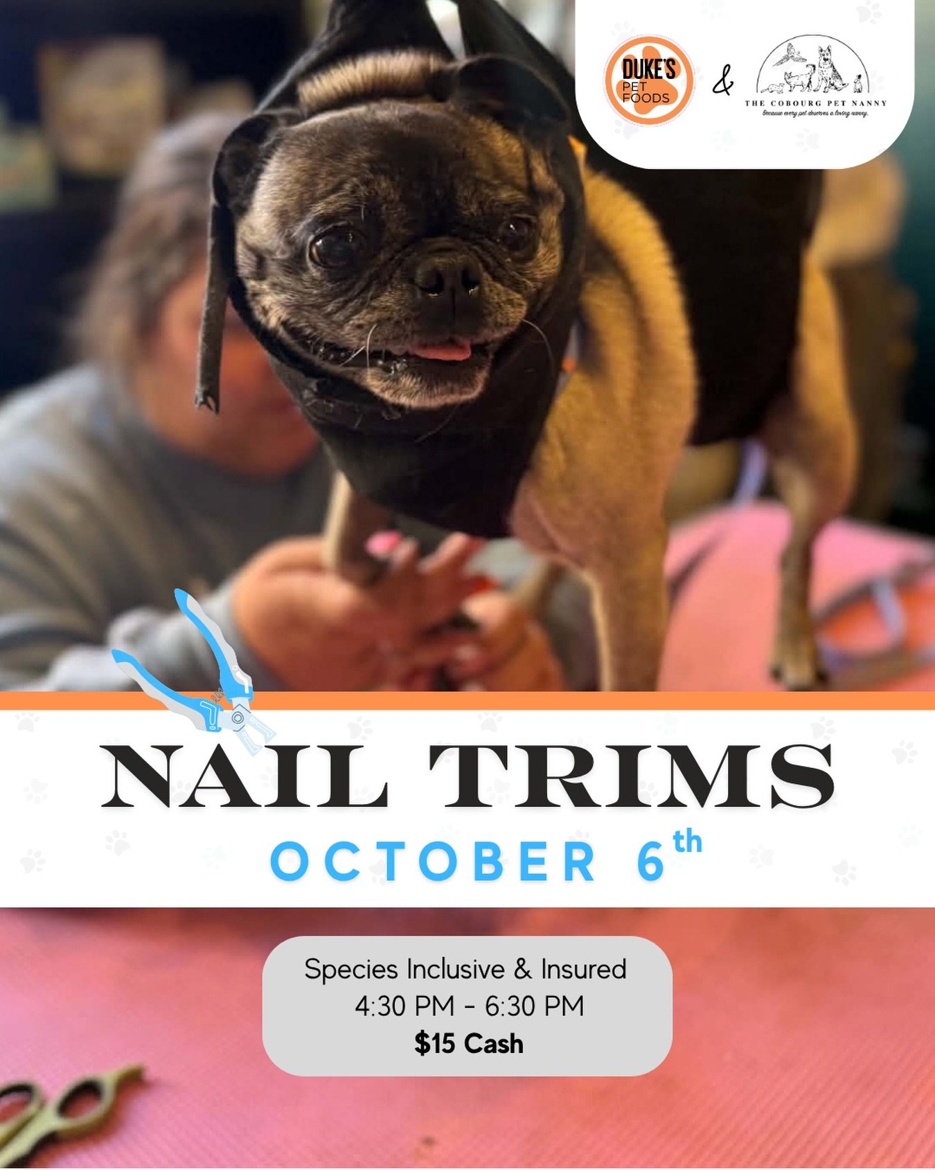 🍂🐾 Crunchy leaves? Yes. Pumpkin season? Obviously. Overgrown nails? Let&rsquo;s not. 😂

Fall is officially settling in around Port Hope, which means plenty of walks, leaf piles, and muddy paws are on the horizon.

Before your four-legged adventure