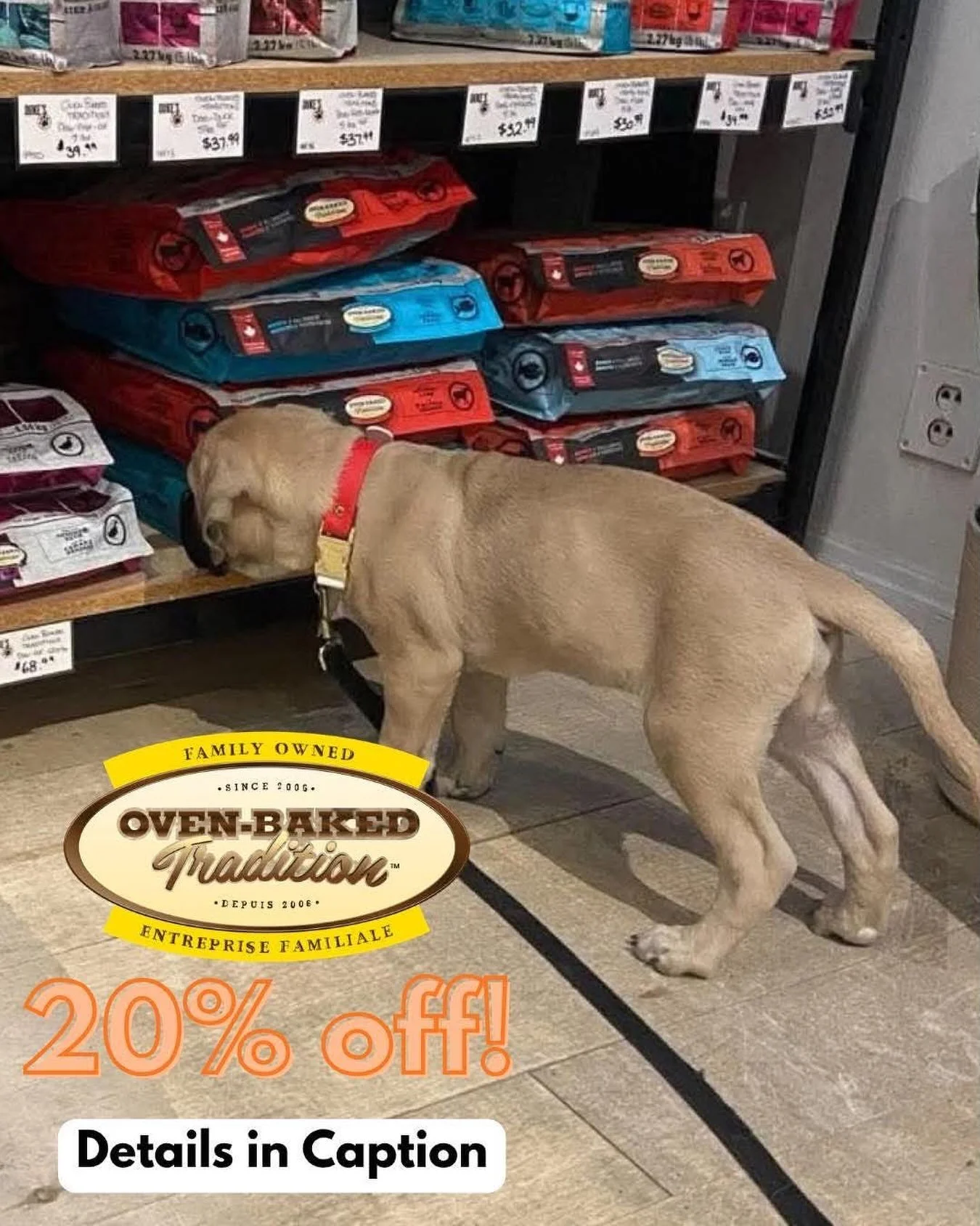 Why do we carry Oven Baked Tradition? 🐶😻🍽️

You may have heard us call it our &ldquo;baked nuggets&rdquo; before, but what makes them different from your typical kibble?

Oven Baked Tradition is made with quality ingredients and gently baked in th