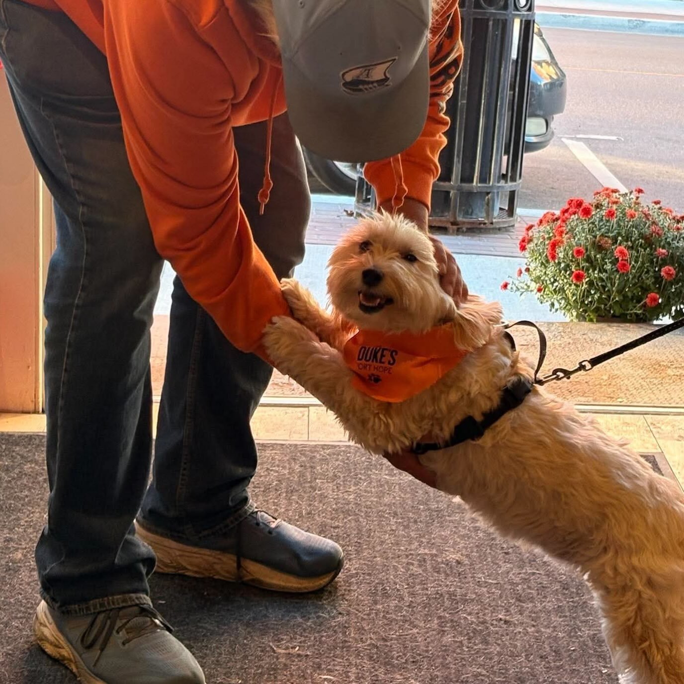 💗 We&rsquo;ve been having some really lovely conversations lately.

Last week, we shared a little about the ways people have told us Duke&rsquo;s Port Hope has become a safe space for them. Whether it&rsquo;s learning about animal nutrition, asking 
