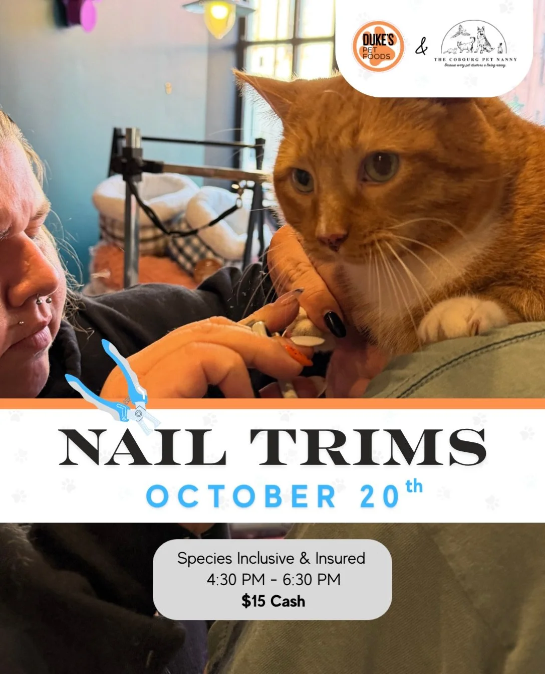🎃 A LITTLE PRE-HALLOWEEN PAW-DICTION&hellip; 🐾

We predict a 100% chance of tiny toe beans getting some much-needed attention tomorrow. 🔮✂️

Our friends at @cobourgpetnanny are back at Duke&rsquo;s Port Hope for the last Toes-Day of October! Wheth