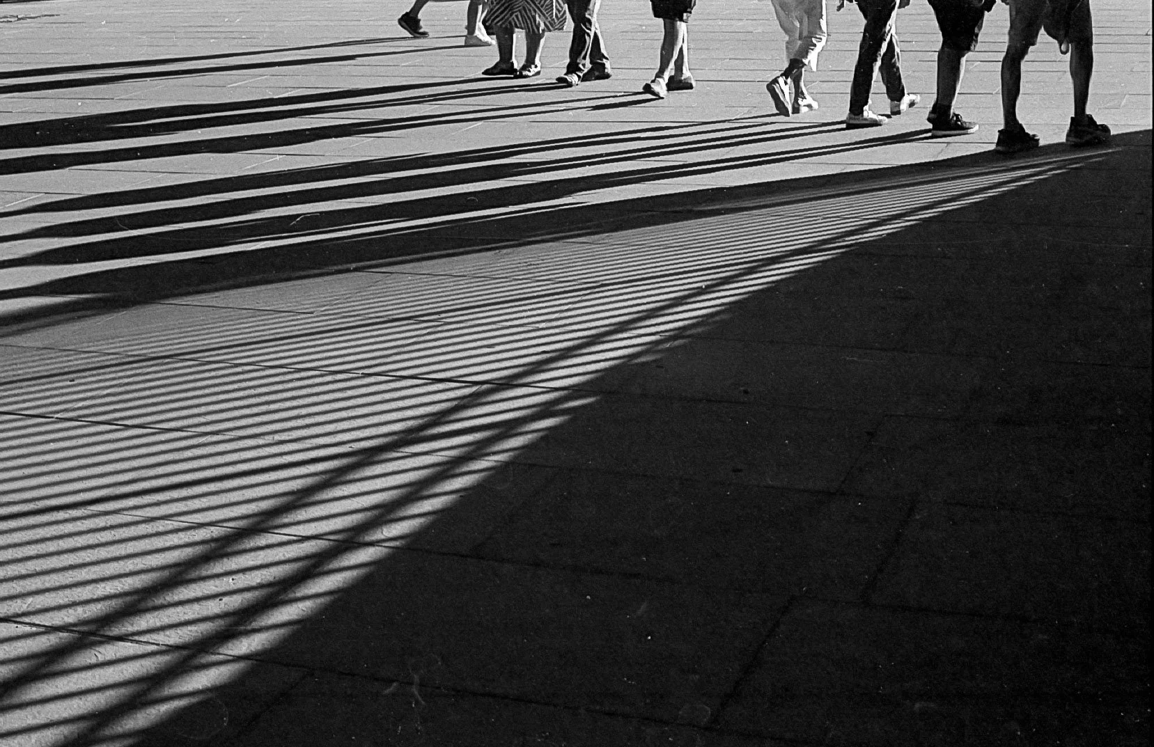 Schwarzes und weißes Foto einer Gruppe von Leuten, die einen Schatten auf den Gehweg werfen, durch den Sonnenlicht eine Schattenspitzen-Muster bildet.