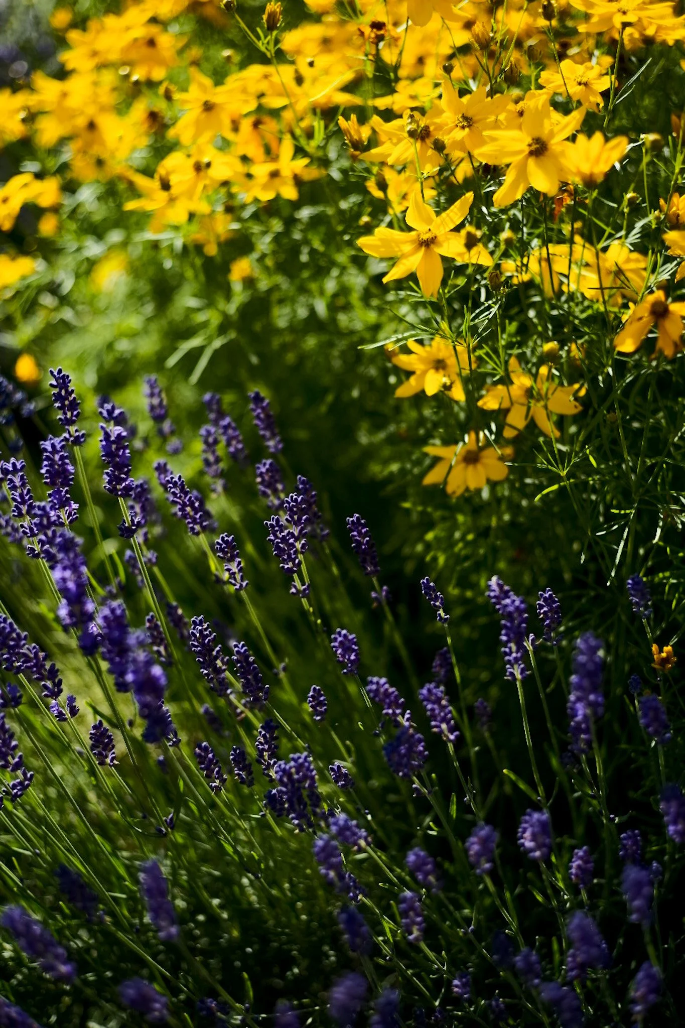 preview_L1009175.JPG