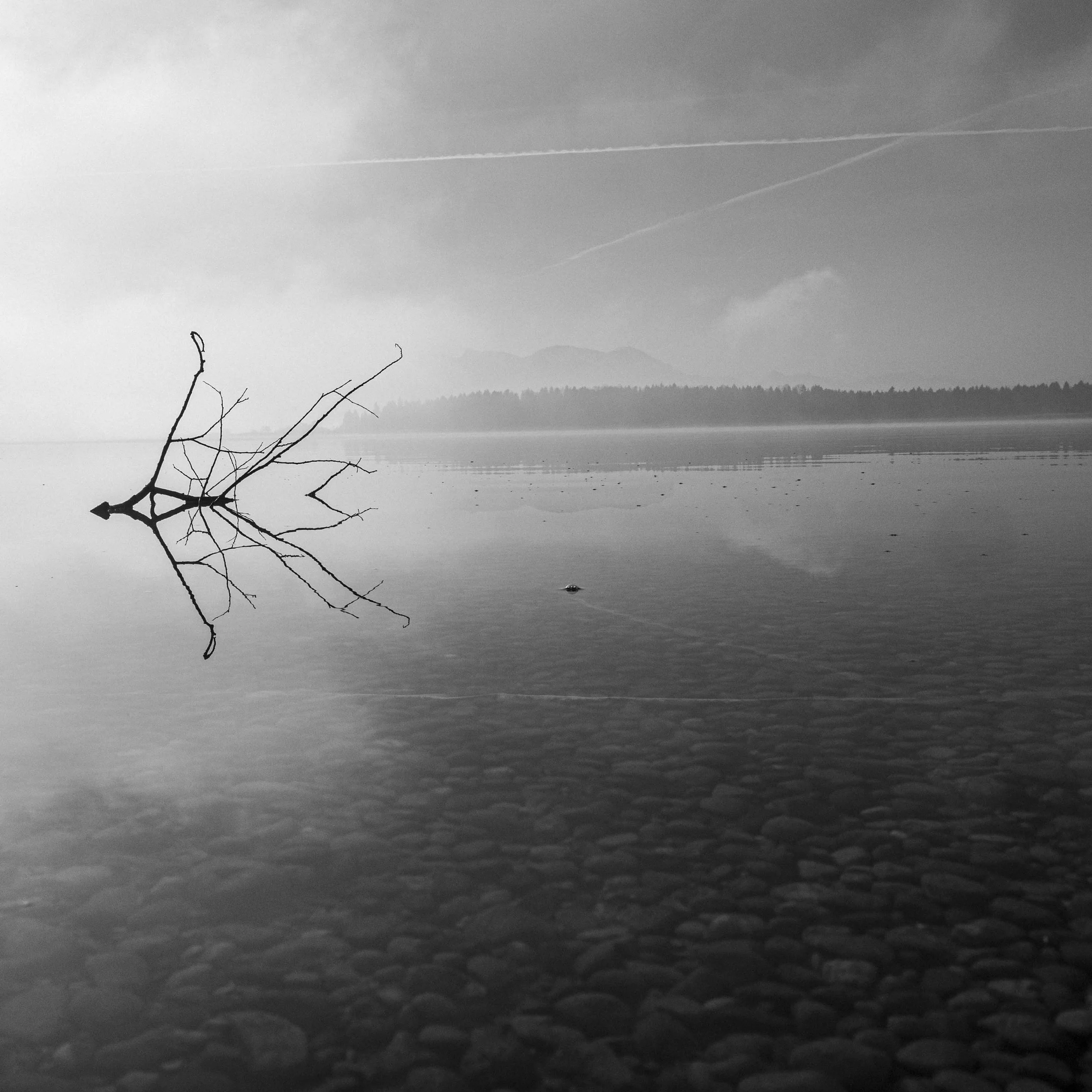 Blick auf einen ruhigen See mit einem trockenen Ast im Wasser, im Hintergrund Bergkulisse, bewölkter Himmel, Black-and-White-Foto