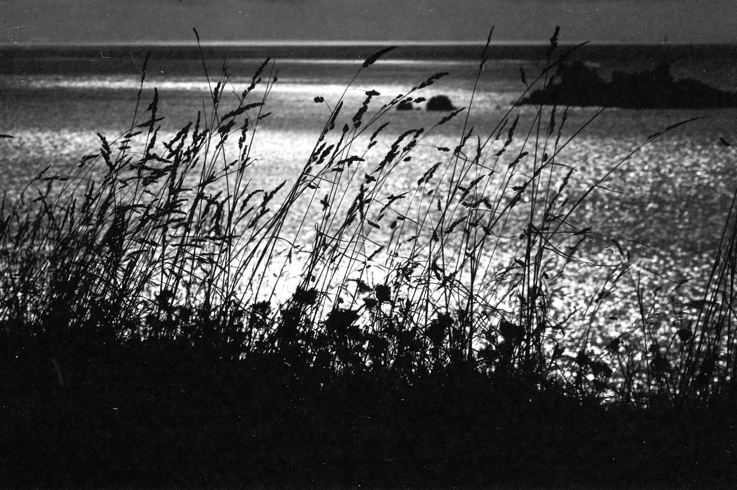 Schwarz-weiß-Foto eines Sees mit Gräsern im Vordergrund, einem kleinen Felsen im Wasser in der Mitte und einem Hügel im Hintergrund bei Sonnenuntergang.