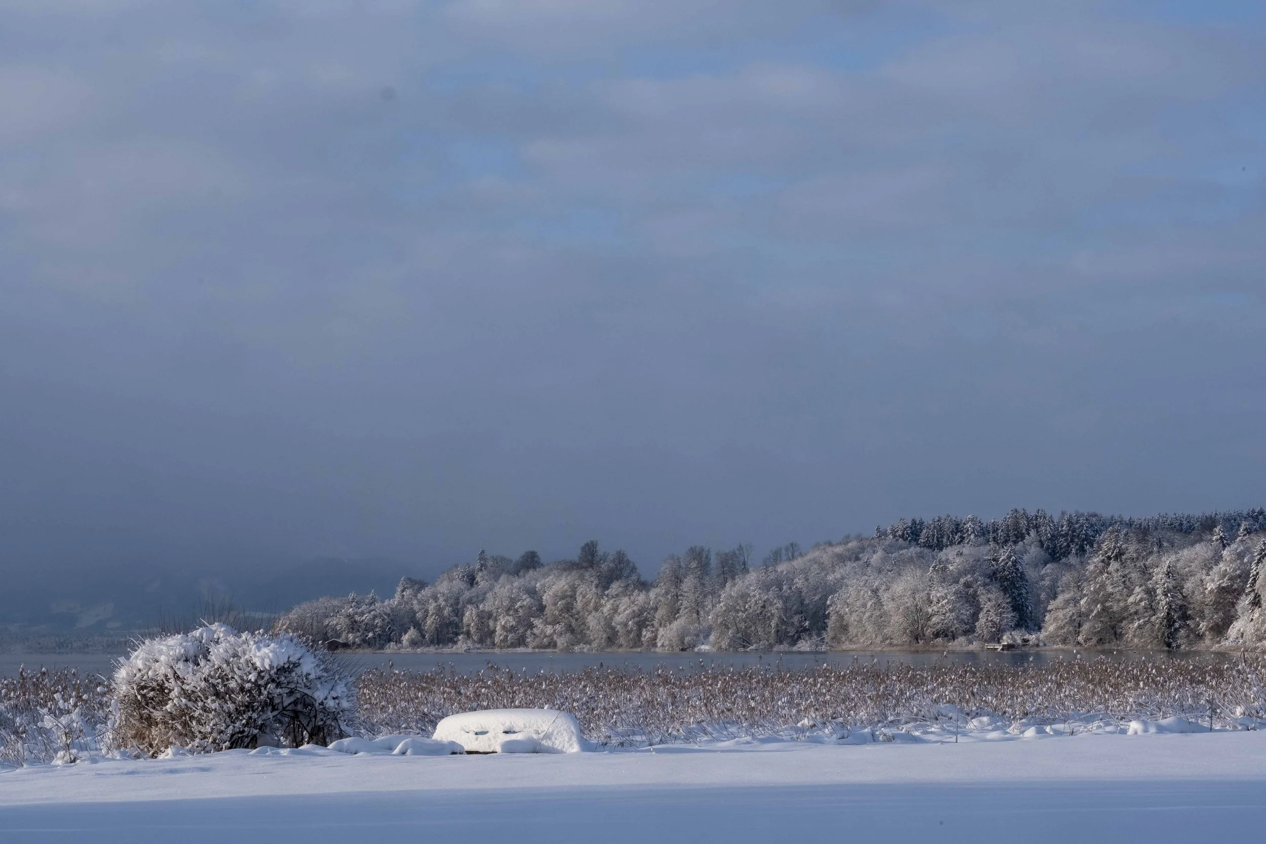 Verschneite Landschaft mit Bäumen, Wasser und bewölktem Himmel.