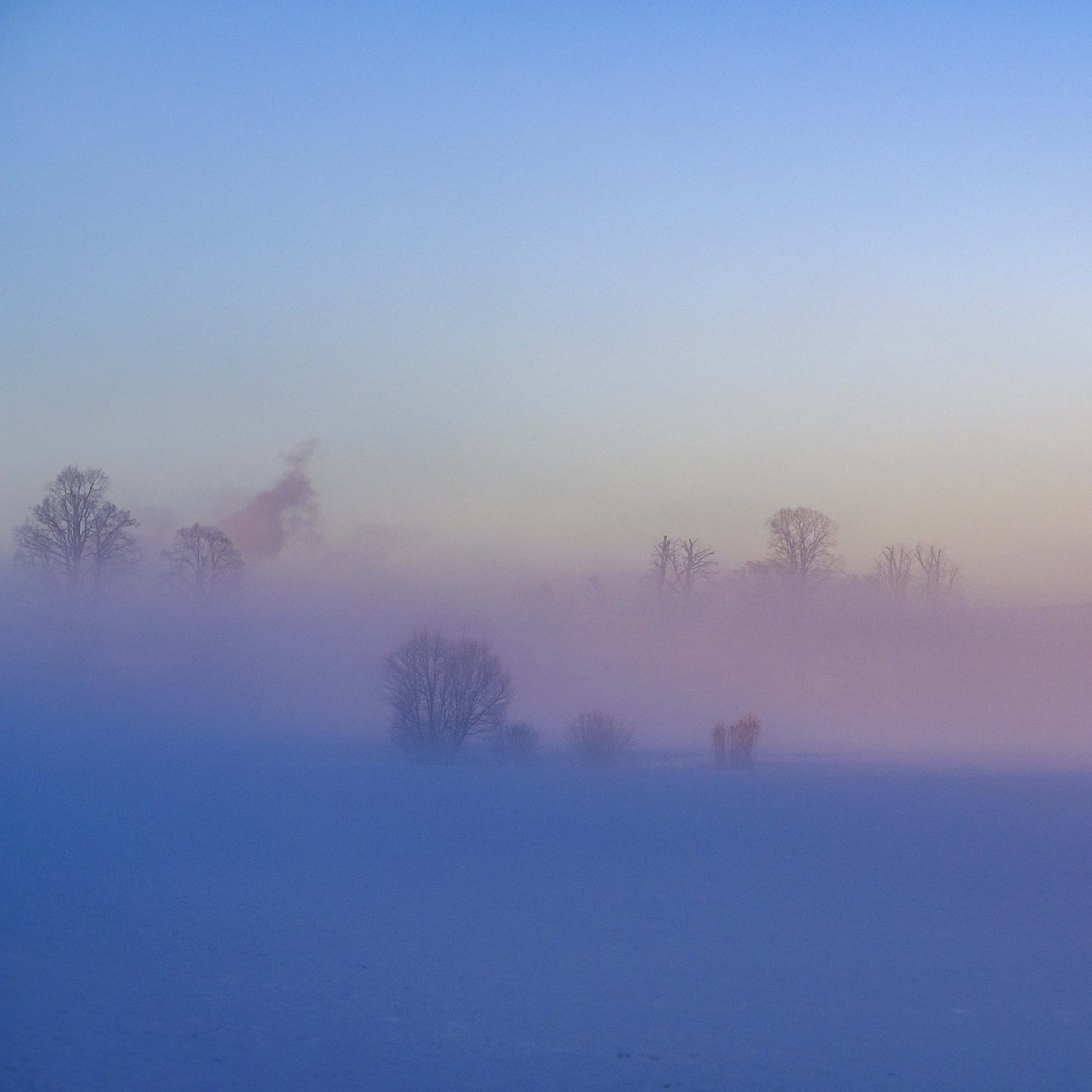 Der Himmel zeigt einen sanften Farbverlauf von Hellblau nach Violett mit einzelnen Baumumrissen am unteren Bildrand.