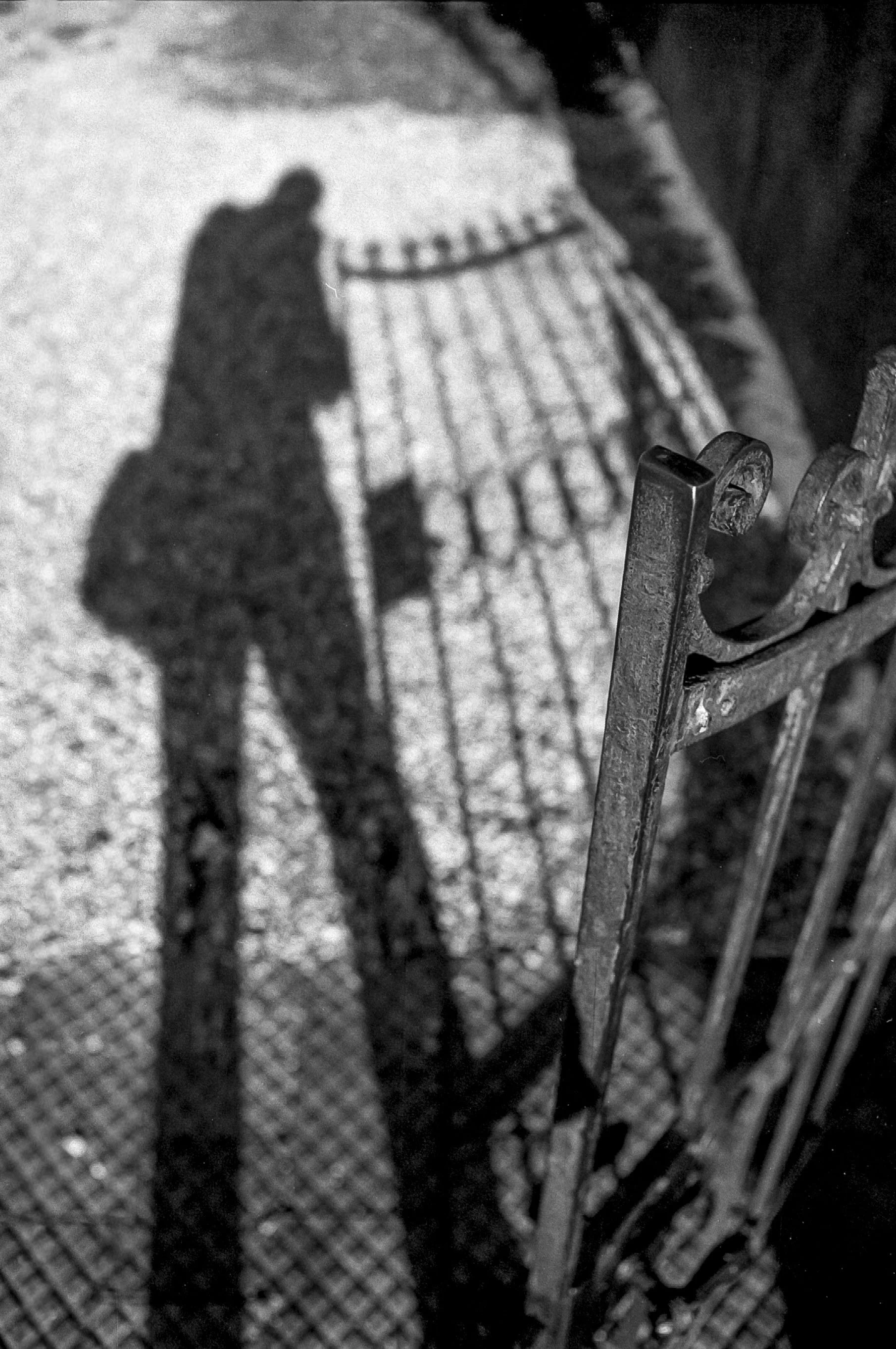 #26_02_LeicaR6_IlfordFP4-_Iso125_8_260106_002.jpg
