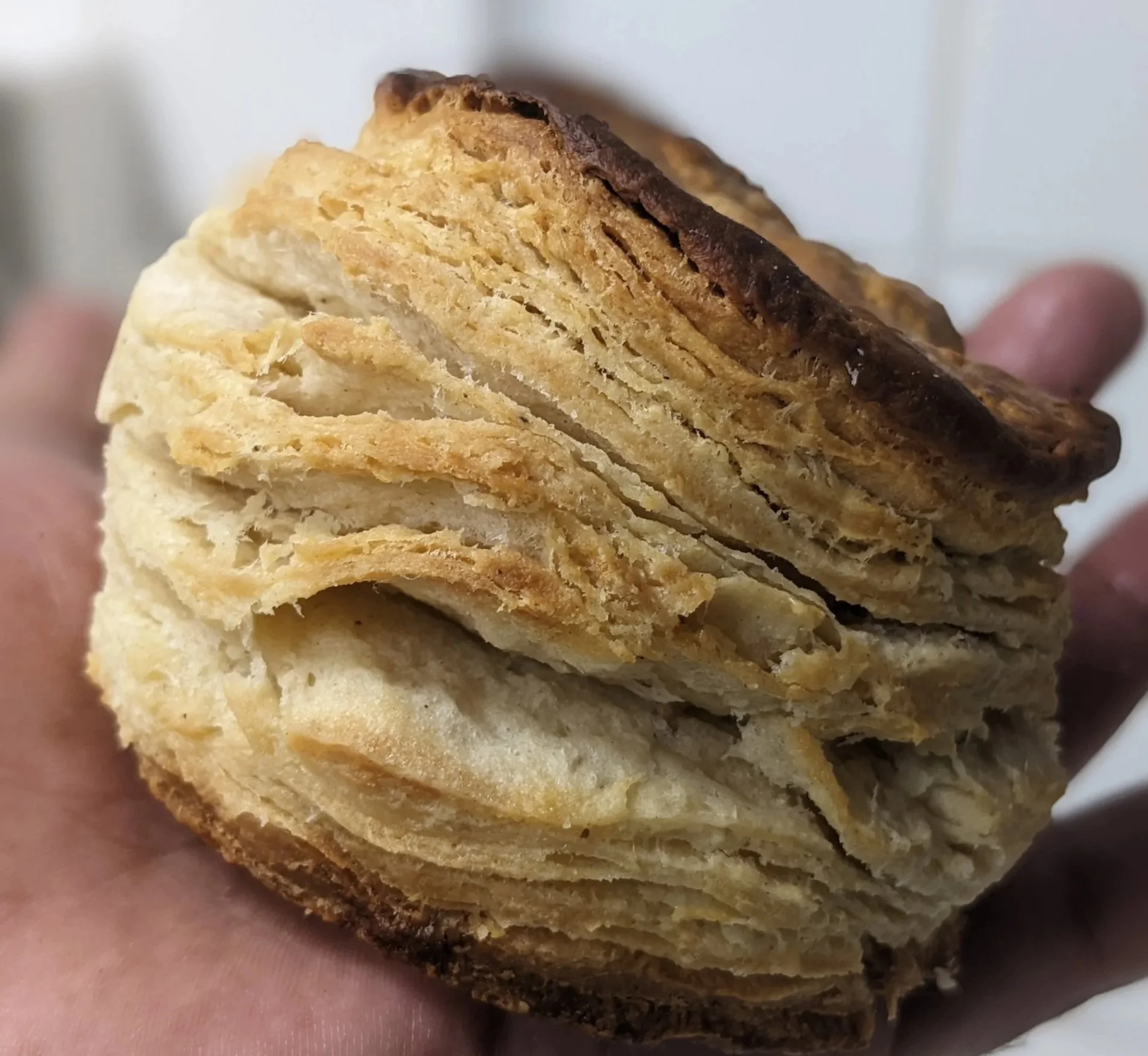 Handmade and Flaky! Buttermilk Biscuit