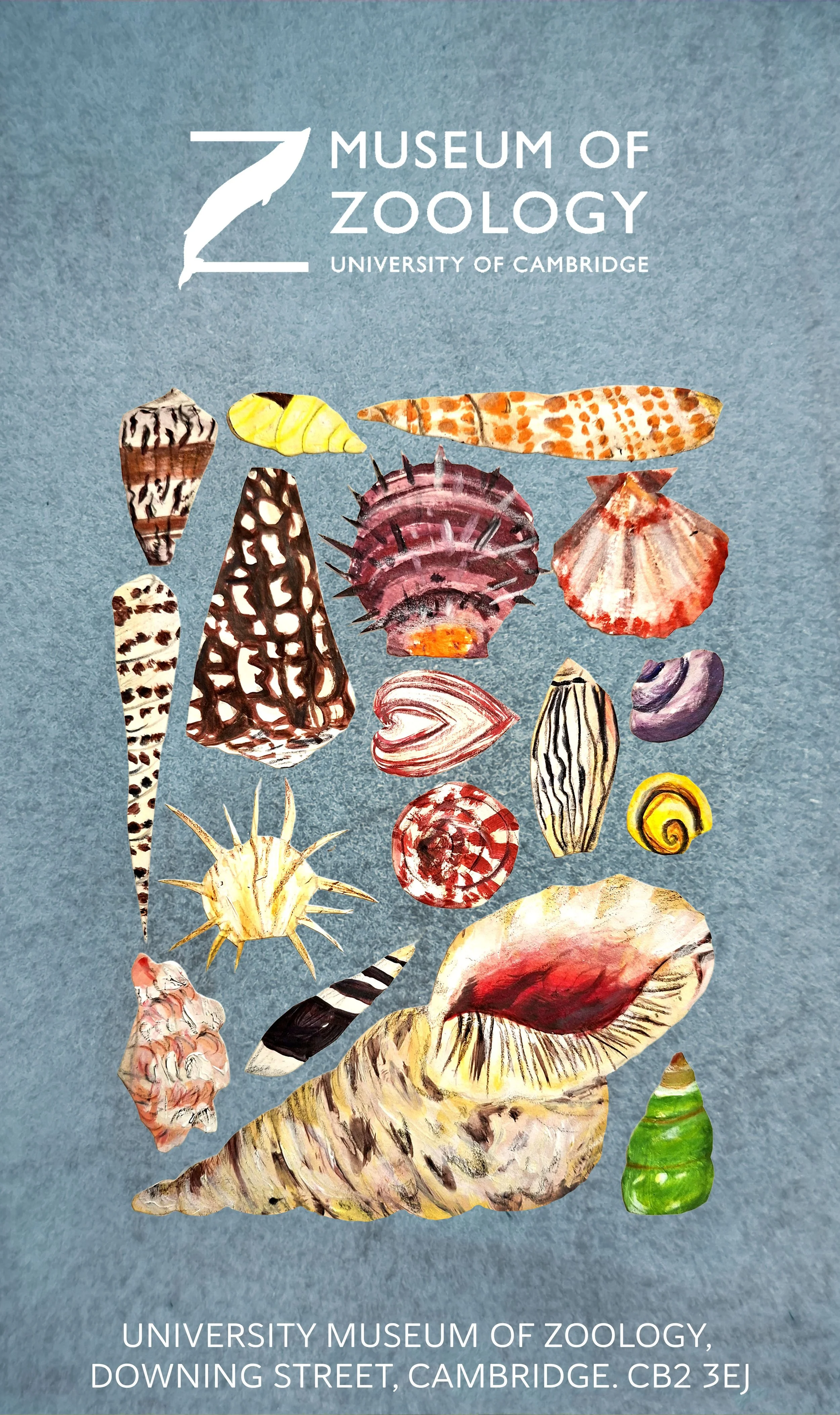 Zoology Museum Posters